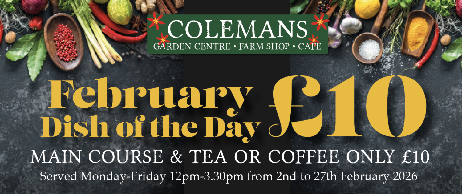 Screenshot 2026-01-29 at 10.38.09