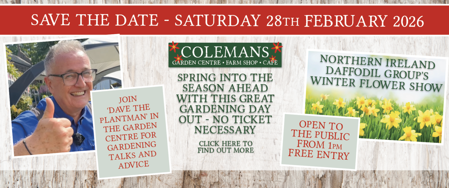 Screenshot 2026-01-30 at 09.55.30