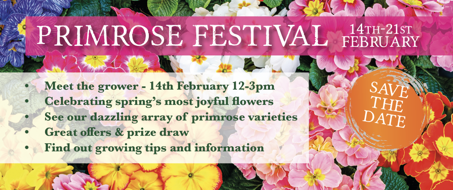 Screenshot 2026-02-02 at 14.07.18